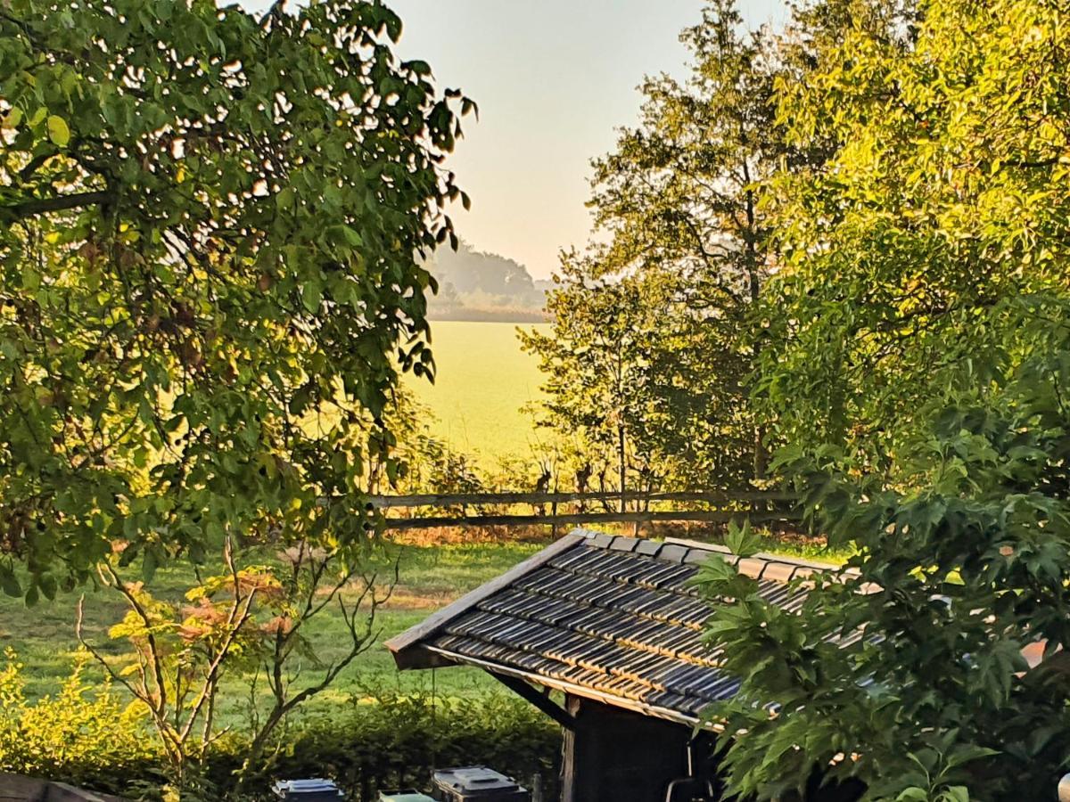 B&B De Nieuwenhof 'De Tuinkamer' Melderslo エクステリア 写真