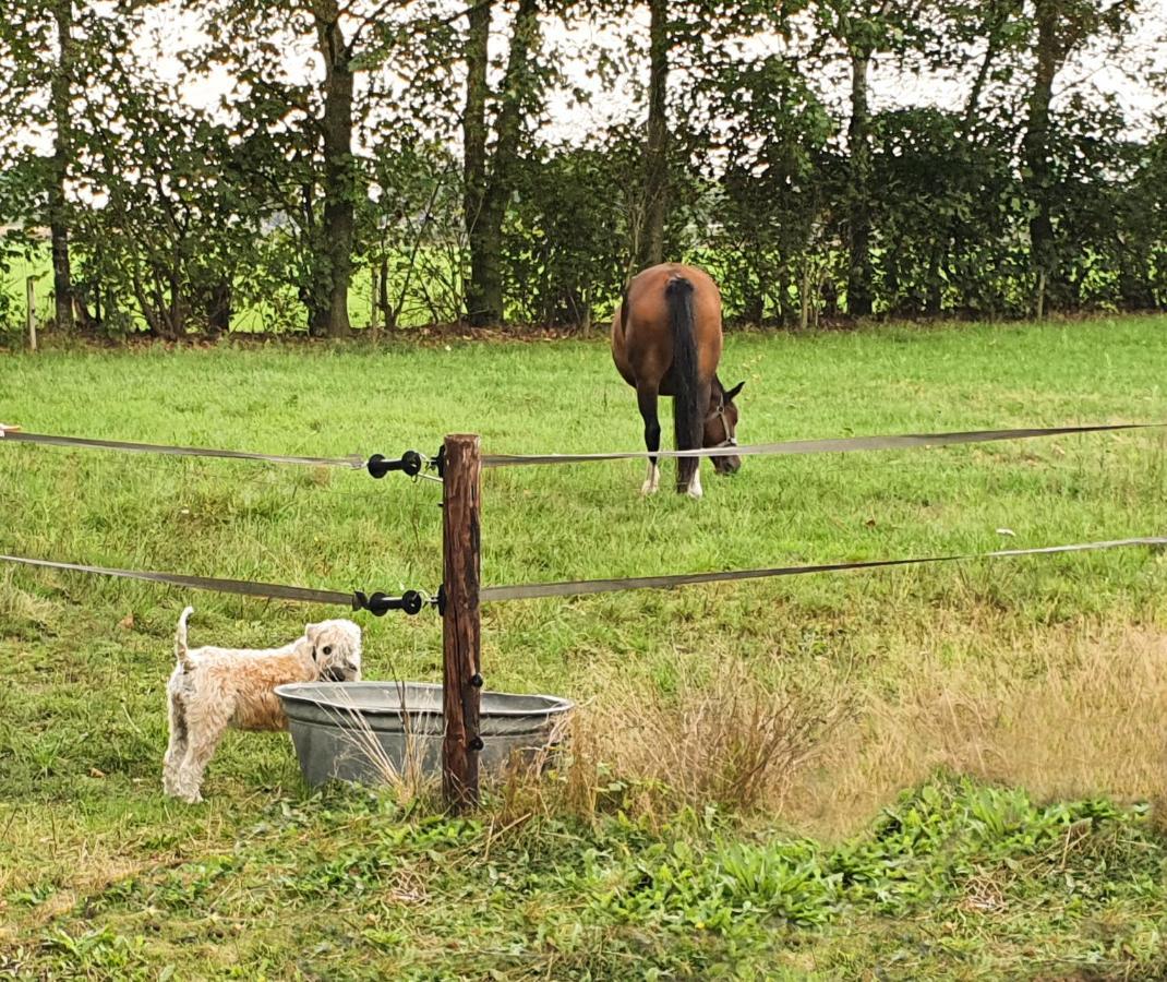 B&B De Nieuwenhof 'De Tuinkamer' Melderslo エクステリア 写真